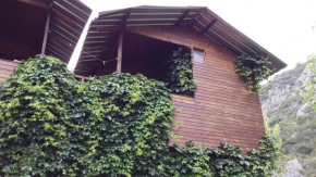 Olympos Camlık Pension